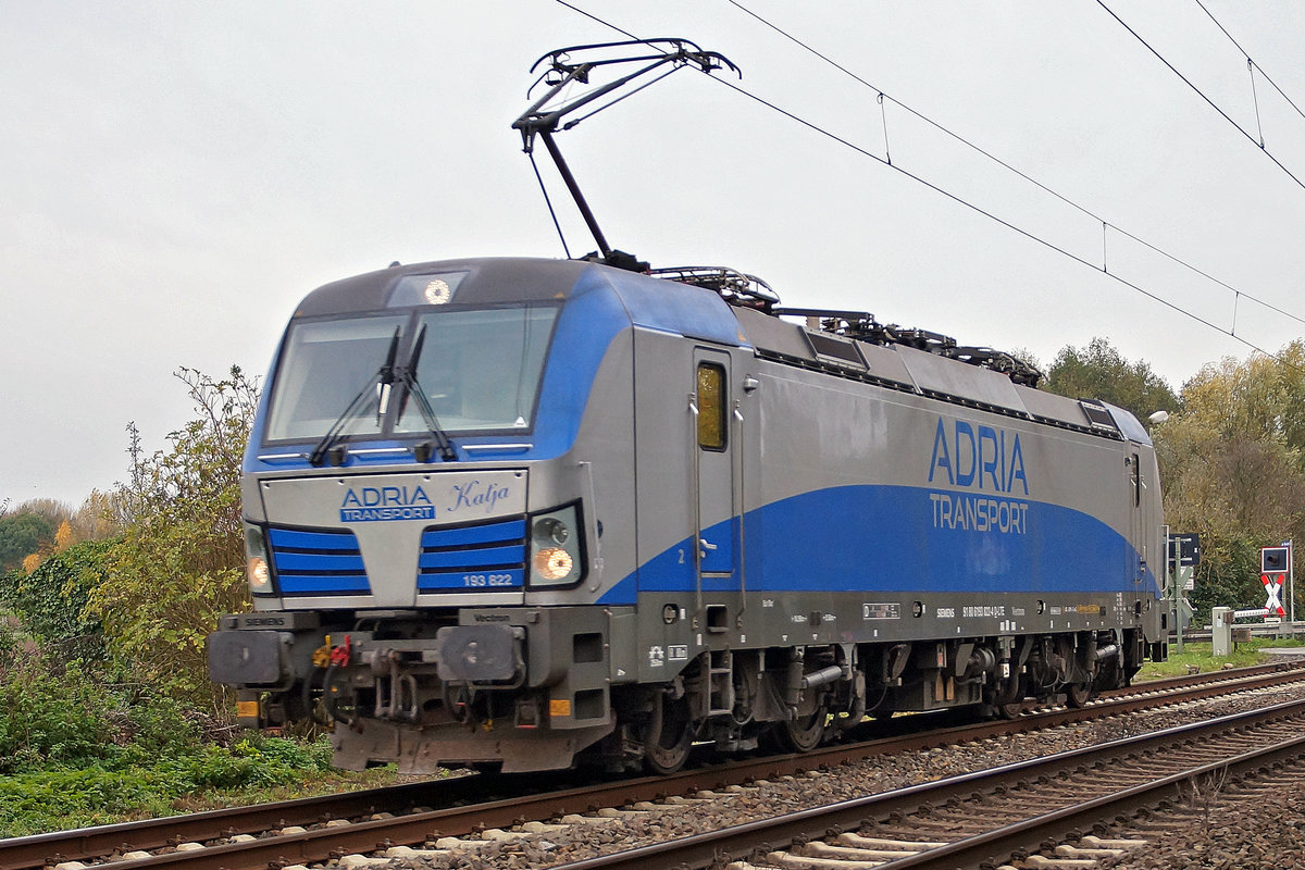 Lokomotive 193 822 am 15.11.2019 in Bösinghoven.