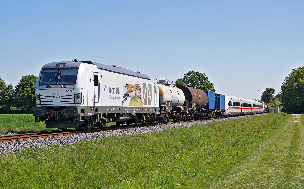 Lokomotive 247 901 überführt ICE4-Steuerköpfe, ICE4-Powercars und Schutzwagen von Hennigsdorf (b. Berlin) nach Siemens Mobility in Wegberg-Wildenrath. 06.05.2020 in Rheindahlen.