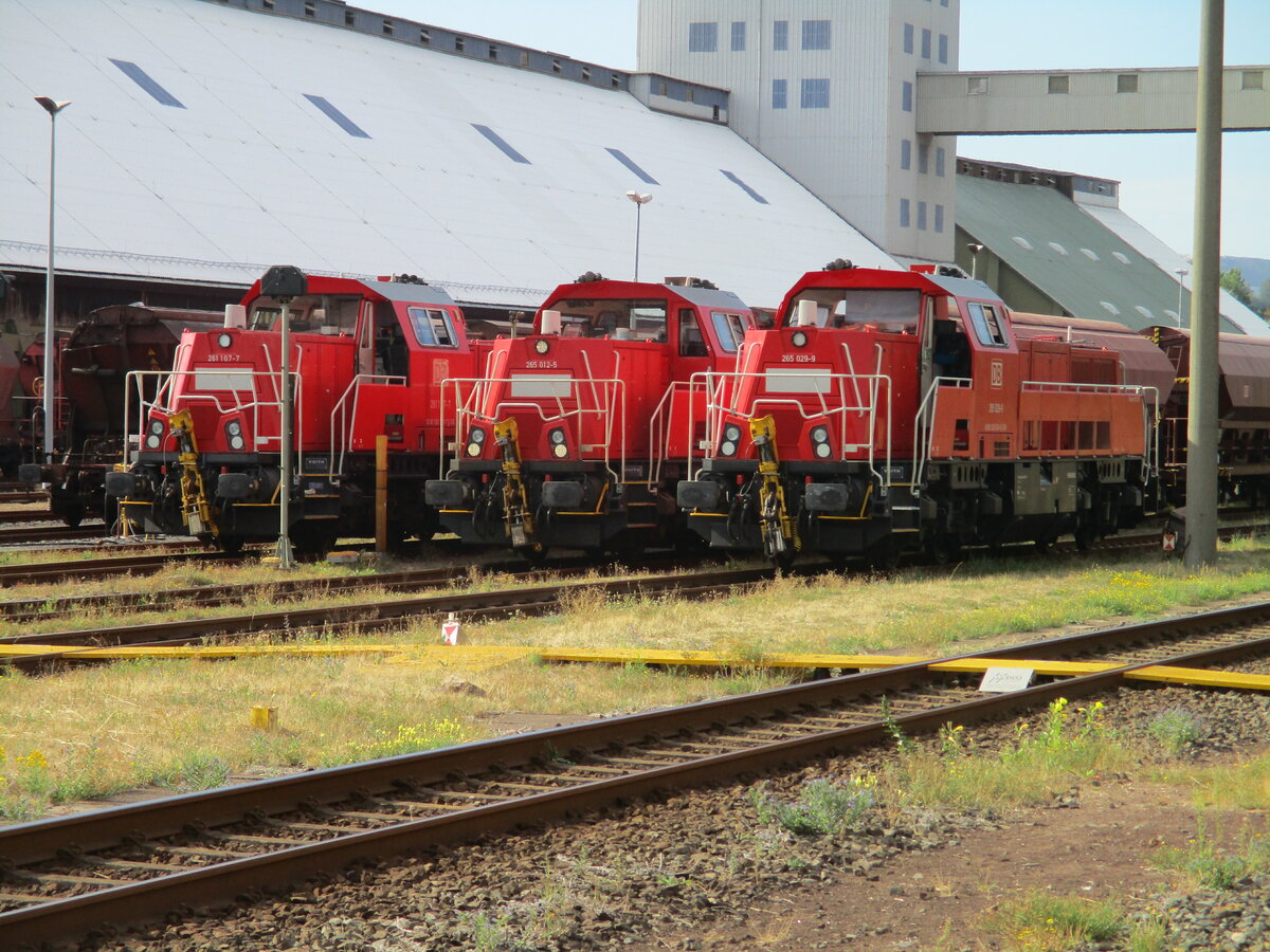 Lokparade in Herringen/Werra,am 01.September 2022,von links nach rechts:265 029,265 012 und 261 107.