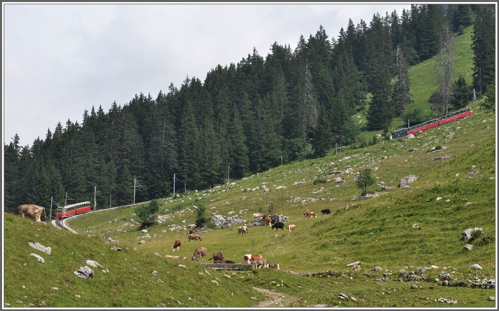Loks 11 und 63 auf Talfahrt ber die Alp Chemad. (06.07.2013)