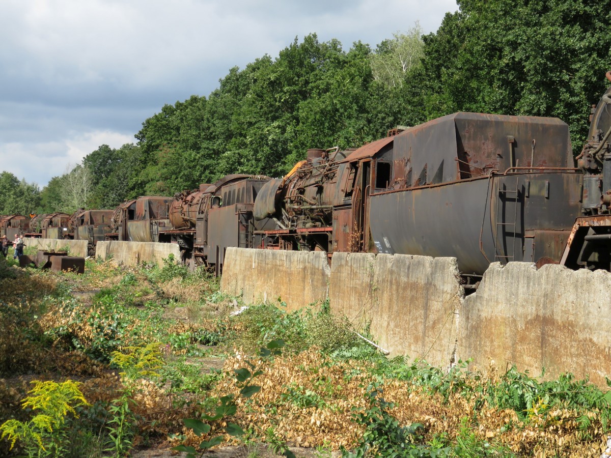 Loks aus der 'Loksammlung Falz' am 05.09.2015 im Bw Falkenberg (BR50, BR52)