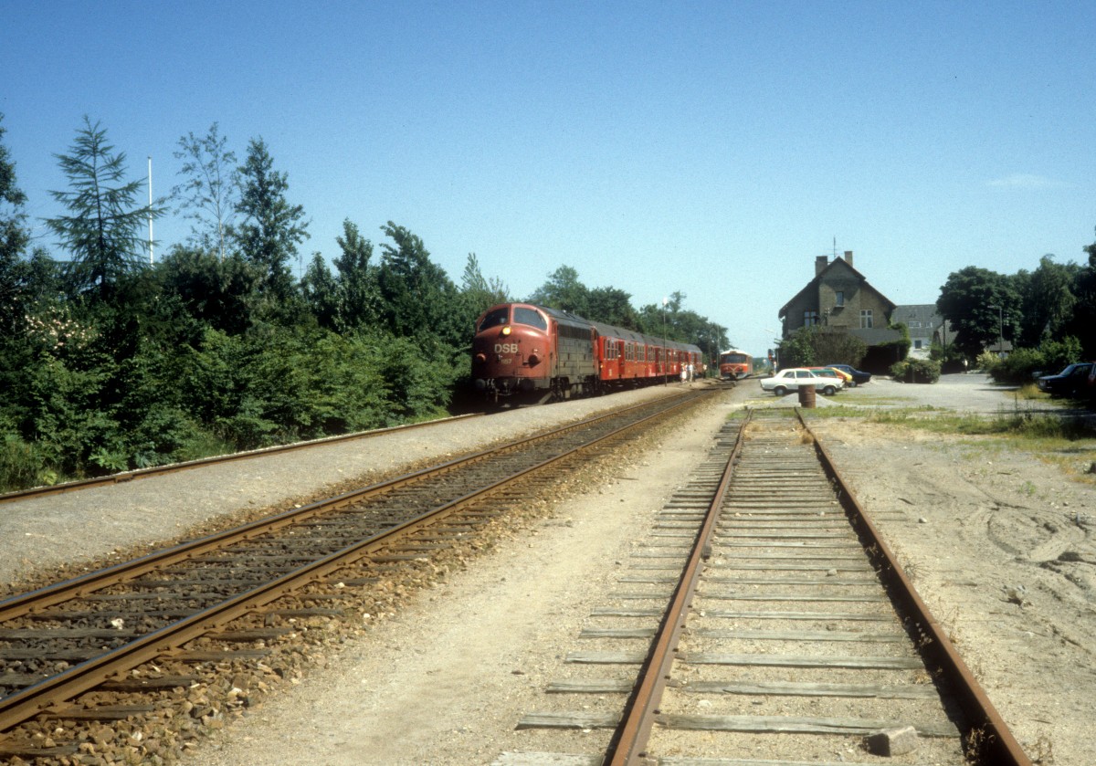 Lollandsbanen (LJ): Am 22. Juni 1983 hält ein DSB-Personenzug (My 1157 mit Nahverkehrswagen) im LJ-Bahnhof Søllested.