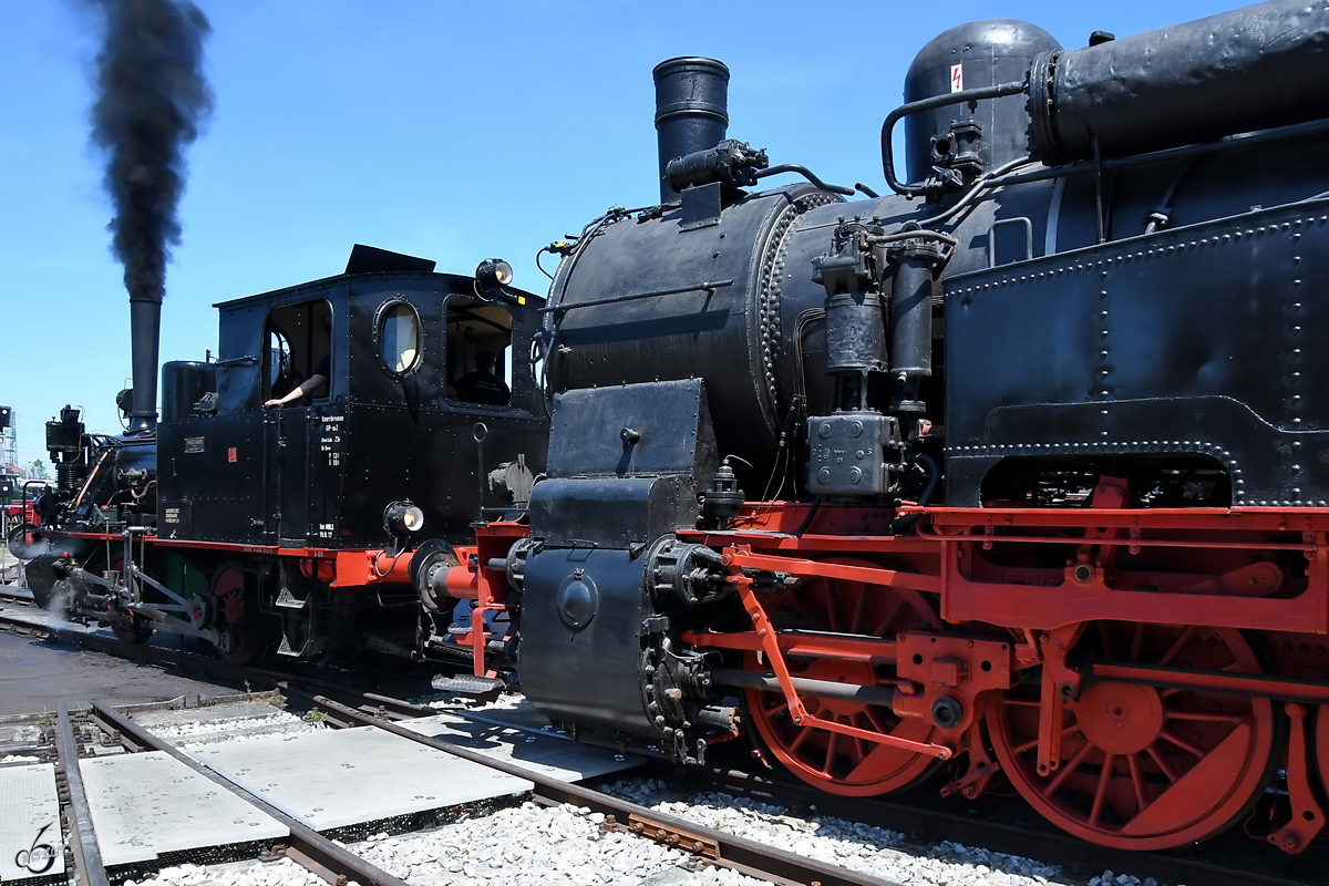  Luci  schiebt Anfang Juni 2019 die Dampflokomotive 94 1697 von der Drehscheibe des Bayerischen Eisenbahnmuseums Nördlingen.