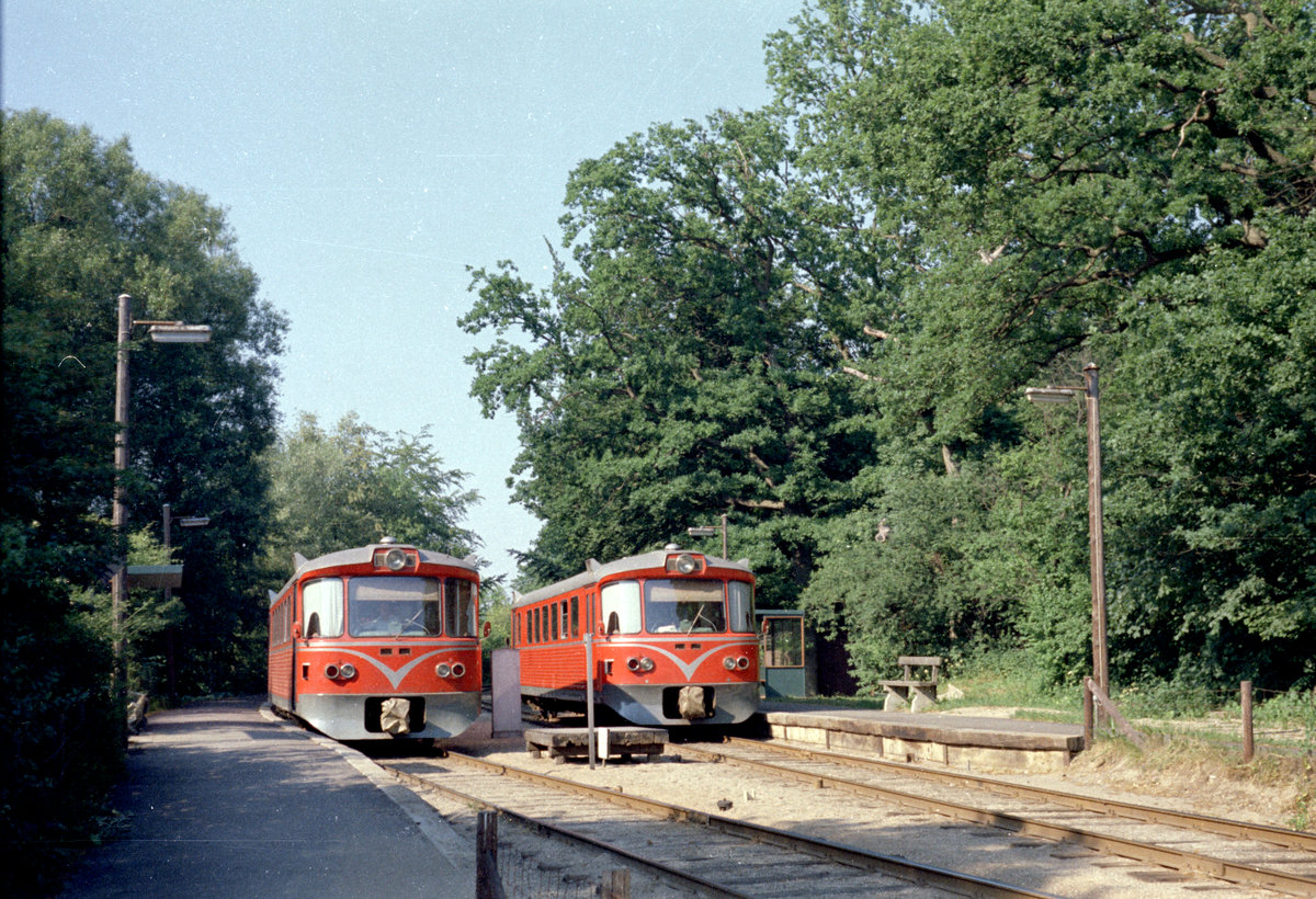 Lyngby-Nærum-Jernbane (LNJ / Nærumbanen): Zwei Triebwagen des Typs Ym treffen sich am 21. Juni 1970 im Haltepunkt Fuglevad. - Der Zug links fährt in Richtung Jægersborg, der Zug rechts in Richtung Nærum.