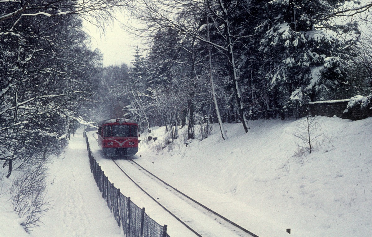 Lyngby-Nærum-Jernbane (LNJ, Nærumbanen) im März 1975: Ein Triebwagen des Typs Ym fährt auf dem Bild zwischen den Haltepunkten Fuglevad und Brede. - Die Bahn ist 7,8 km lang.