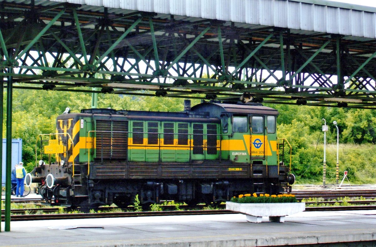 M44 309 rüht sich am 22 mai 2008 in Sopron. Mann beobachte die Blümen (bein Lokkabine) die die GySEV-Farben von Lok kopiiert haben.