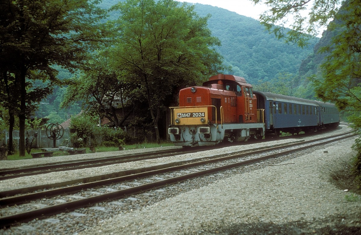  M47 2024  Szarvask  04.06.80