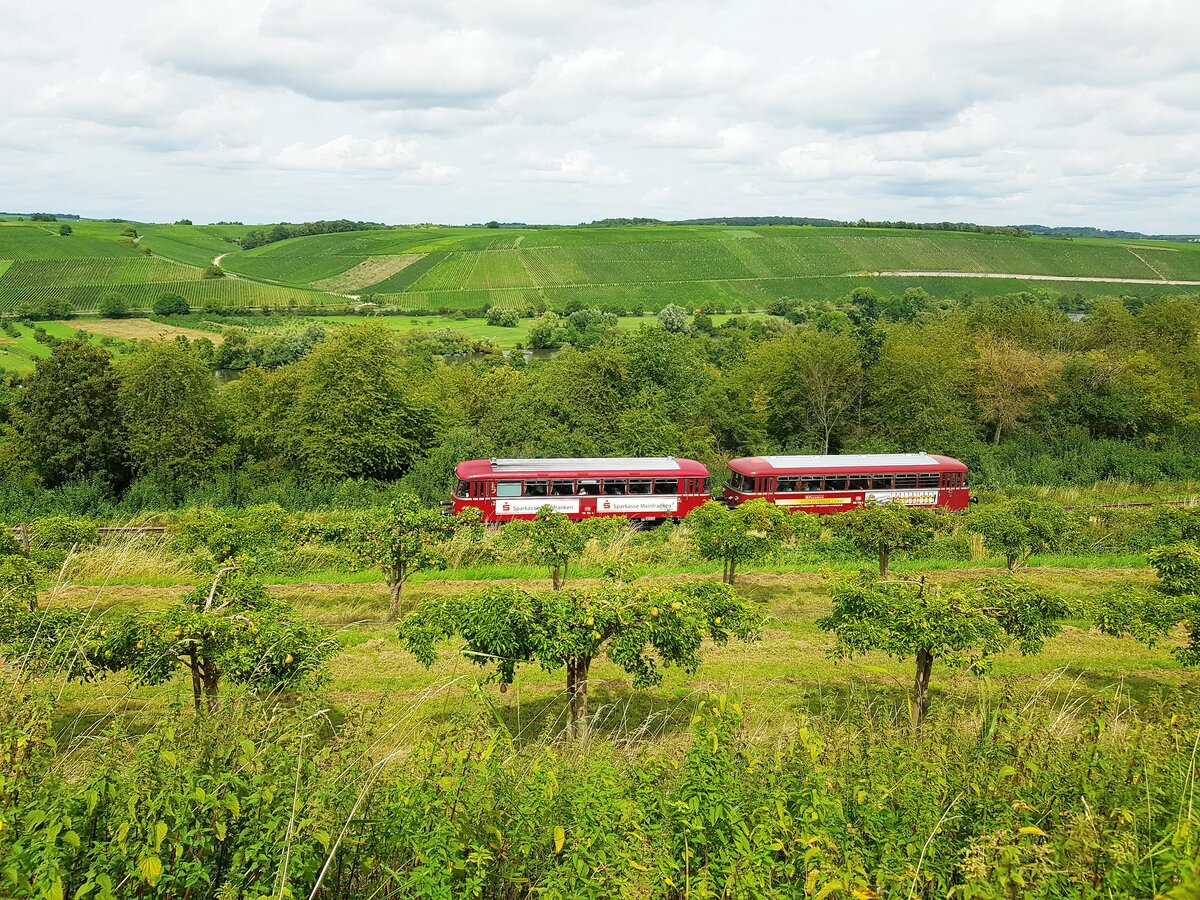 Mainschleifenbahn__KBS 12818 (seit 2019) ex KBS 418a. Schienenbus-Garnitur nahe Haltepunkt 'Vogelsburg'. Weinberge, Birnen-, Quitten- Und Zwetschgen- Plantagen  prägen hier das Landschaftsbild.__13-08-2023