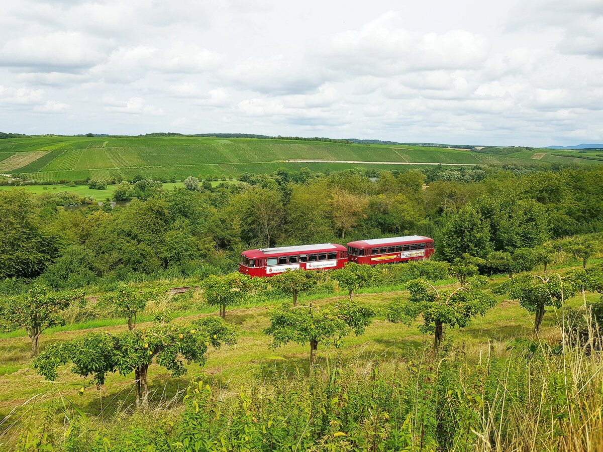Mainschleifenbahn__KBS 12818 (seit 2019) ex KBS 418a. Schienenbus-Garnitur nahe Haltepunkt 'Vogelsburg'. Weinberge, Birnen-, Quitten- Und Zwetschgen- Plantagen  prägen hier das  Landschaftsbild.__13-08-2023