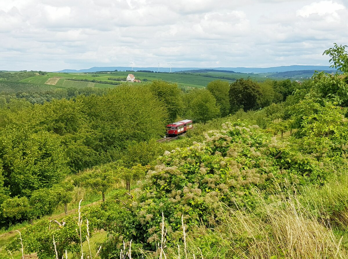 Mainschleifenbahn__KBS 12818 (seit 2019) ex KBS 418a.__Ganz kleine Eisenbahn in großartiger Landschaft : Schienenbus-Garnitur nahe Haltepunkt 'Vogelsburg':__13-08-2023