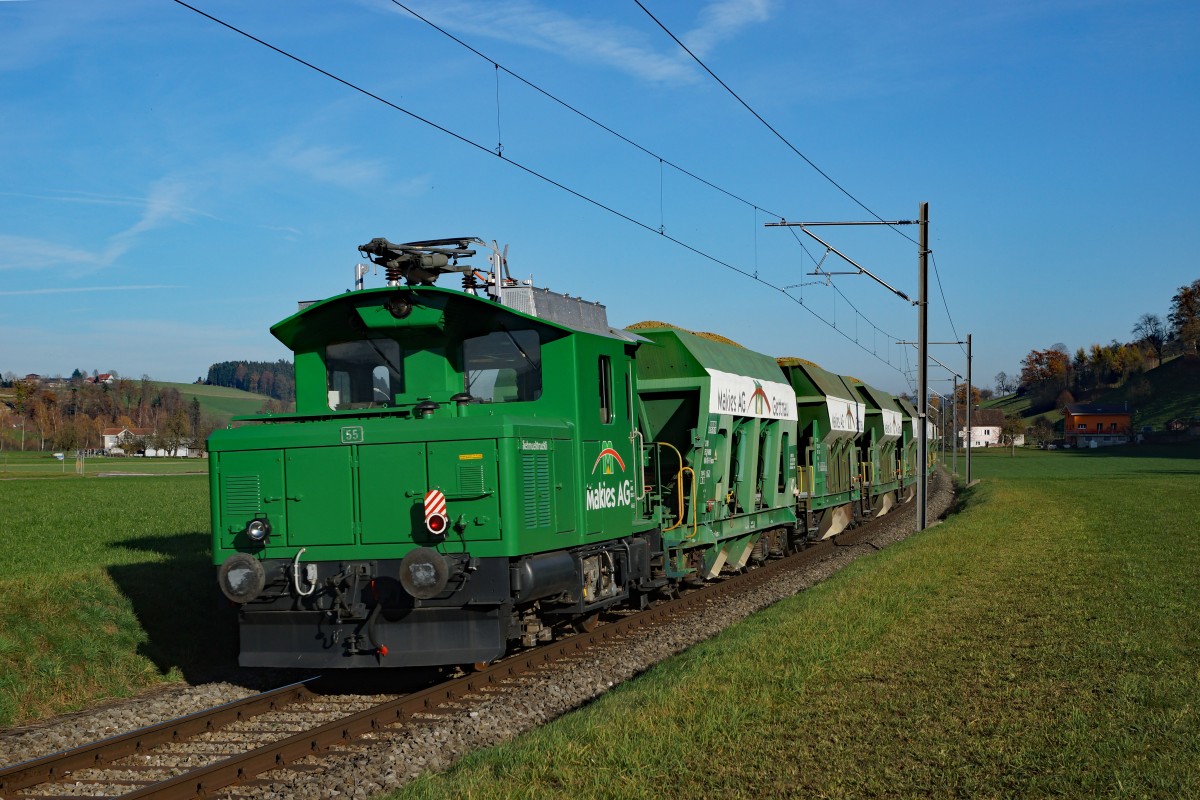 Makies AG: Der grüne Tem 55  SCHMUCKTRUCKLI  der Makies AG, im Einsatz zwischen Ufhusen und Gettnau am 10. November 2015.
Foto: Walter Ruetsch