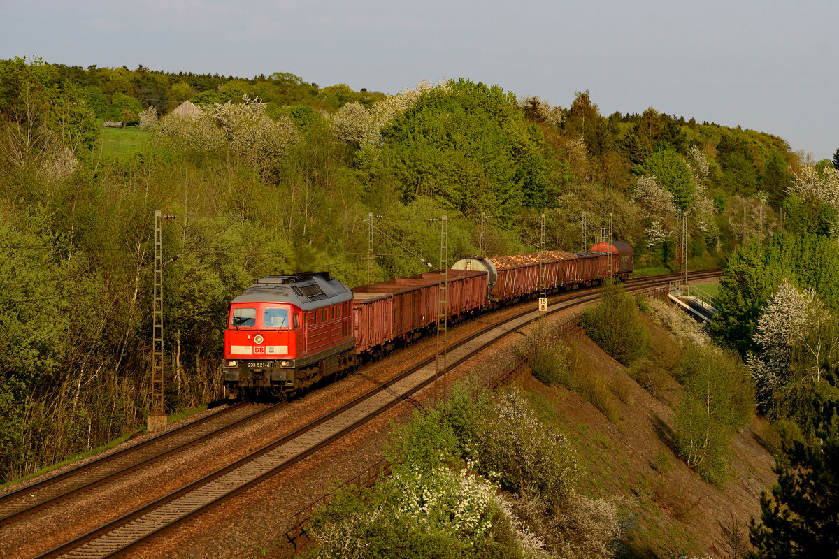  Man sollte immer bis zum Schluss abwarten . Diese Devise wurde am 21. April 2018 belohnt, denn im warmen Abendlicht ließ sich bei Laaber in der Oberpfalz noch die 233 521 mit einem gemischten Güterzug blicken. Hierbei handelte es sich mutmaßlich um einen umgeleiteten EZ aus Tschechien, der normalerweise über das Pegnitztal nach Nürnberg fährt.