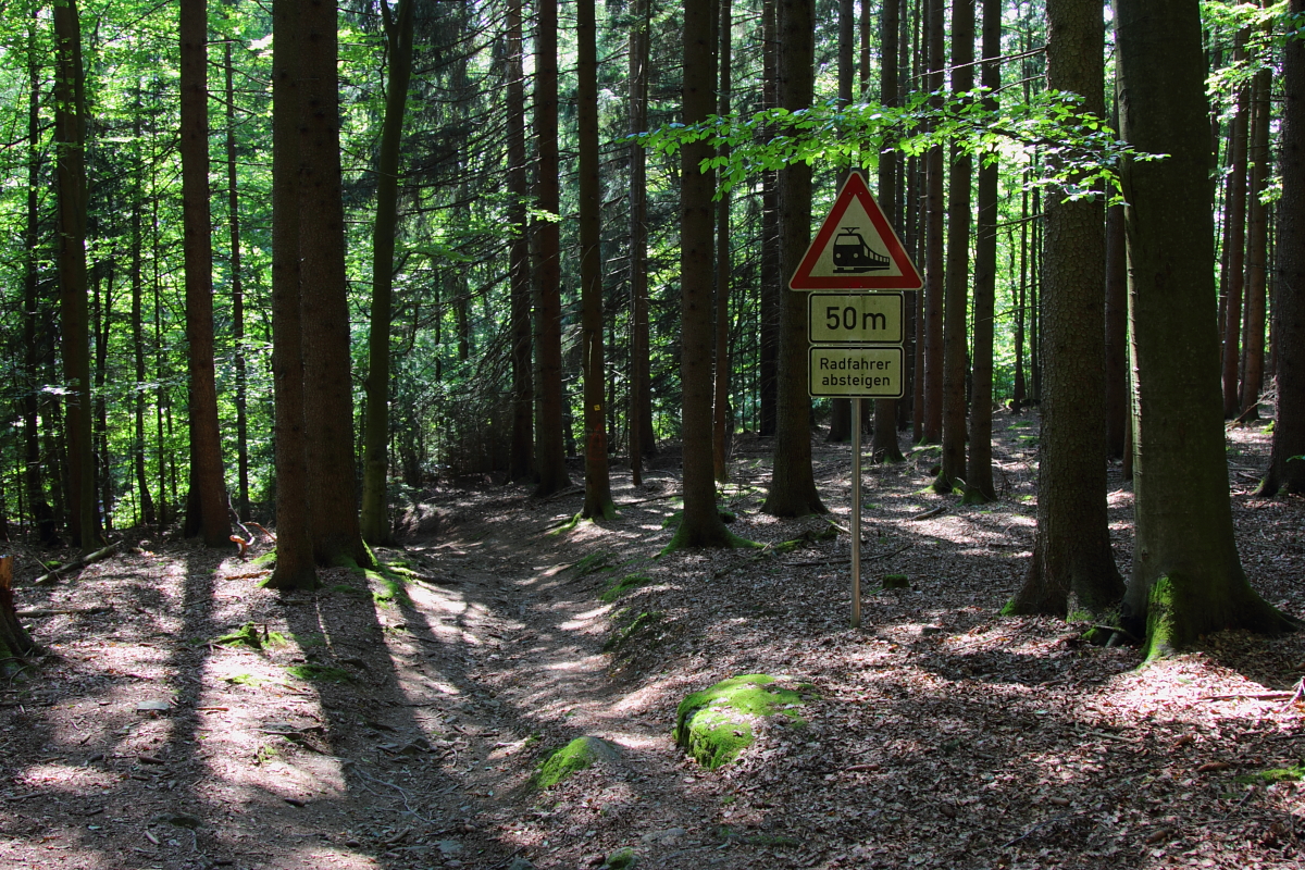 Manchmal rechnet man einfach nicht mit der Bahn. Gesehen bei Spiegelau am 19.08.2016.