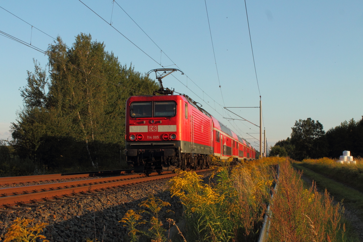Manchmal sind auf der RE 5 auch 114-er im Einsatz.
Am 10.09.2017 schiebt die 114 005 den RE 5 nach Wünsdorf-Waldstadt  durch Nassenheide.
