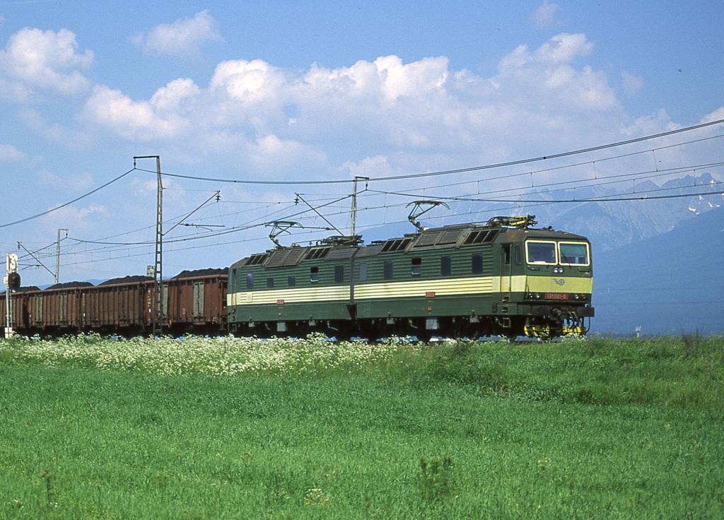 Manchmal sucht man sie. Und manchmal  fahren  sie einen um. Ich rede hier 
von der Nummer 1 einer Bauserie. Fr mich ist es immer wieder eine Freude,
die  O1ser  zu fotografieren. In der Slowakei lief mir dabei die 131001im
Gespann mit der 131002 quasi hinterher. Am 3.5.2003 hatte ich sie erneut
am Fue der Hohen Tatra in der Einfahrt zum Bahnhof Poprad Tatry, als sie 
mit einem Kohlezug um 11.05 Uhr in Richtung Kosice unterwegs war.