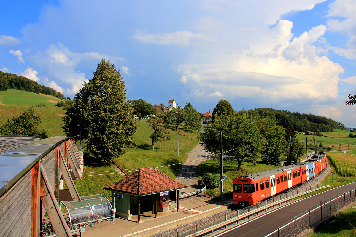  Mandarinli  43 und 58 an der Haltestelle Vechigen. 22.August 2018