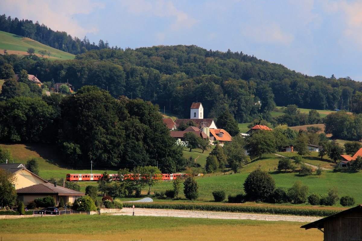 Mandarinli in der schönen Landschaft der Region Boll; Züge 59 und 47. Hier waren die Bauern wohlhabend, da sie eng mit der Stadt Bern mit ihren Märkten verbunden waren. 22.August 2018 