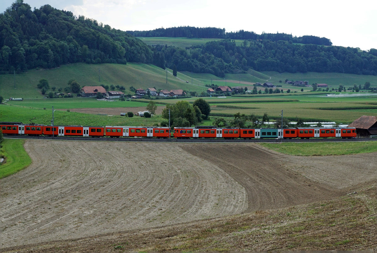 MANDARINLI
heissen die  ältesten Triebfahrzeuge vom
Regionalverkehr Bern Solothurn RBS.
In Betrieb genommen wurden sie von SZB und VBW in den Jahren   1974, 1977 und 1978 als Be 4/8 41 – 61.
Im Jahre 2006 wurden  16 Einheiten mit Niederflurzwischenwagen ausgerüstet.  Dadurch entstand die Typenbezeichnung  Be 4/12.
Durch die Inbetriebnahme der neuen Worbla-Züge werden bis 2020 sämtliche Mandarinli aus dem Worblental verschwunden sein.
Auf „MANDARINLI-JAGT“  im Worblental unterwegs mit dem grossen Freund der japanischen Eisenbahnen und  Bahnbild-Fotograf Peter Ackermann.
Impressionen vom 22. August 2018. Entstanden sind die Aufnahmen in  der ländlichen Gegend Boll -Vechigen .
Foto: Walter Ruetsch
