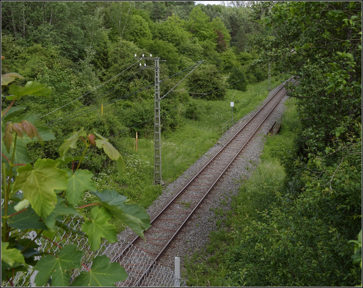 Mastenunikat bei der Trossinger Eisenbahn. Hier war offenbar die Telegrafenleitung am Strommast befestigt. Das sieht man an älteren Bildern, aber an diesem hier sind die Isolatoren bis heute übriggeblieben. Trossingen, Juni 2022.