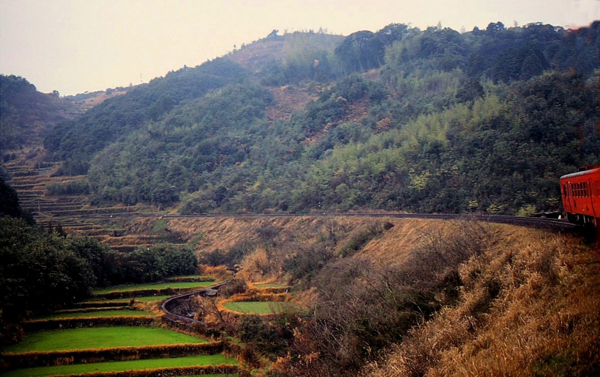Matsuura-Bahn zu Staatsbahnzeiten: Im Aufstieg nach Hirado durchfährt der Zug mit einem Triebwagen KIHA 47 an der Spitze eine Landschaft, die geprägt ist von kunstvollen Reisfeldanlagen bis auf die Bergspitze hinauf. 19.März 1981. 