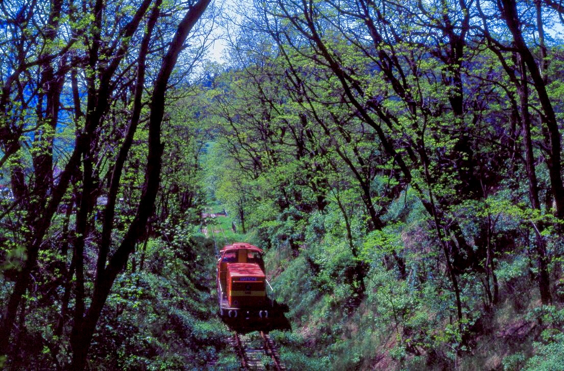 Mattoni T466 1535, Vojkovice, 31.05.1996.
