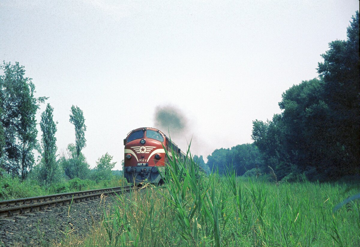 MAV P-Zug_Diesellok M61 am Balaton_07-1975