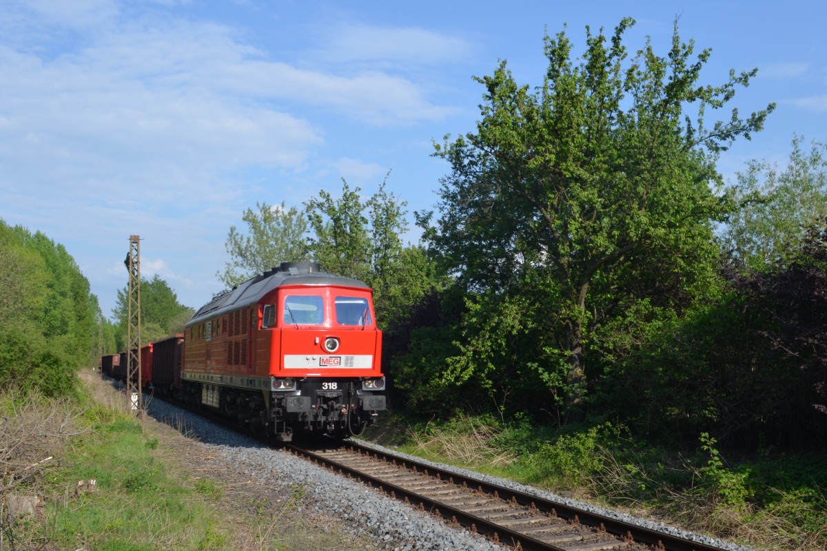 MEG 318 (232 980-8) zwischen Espenhain und Rötha bei Leipzig 25.04.2014 