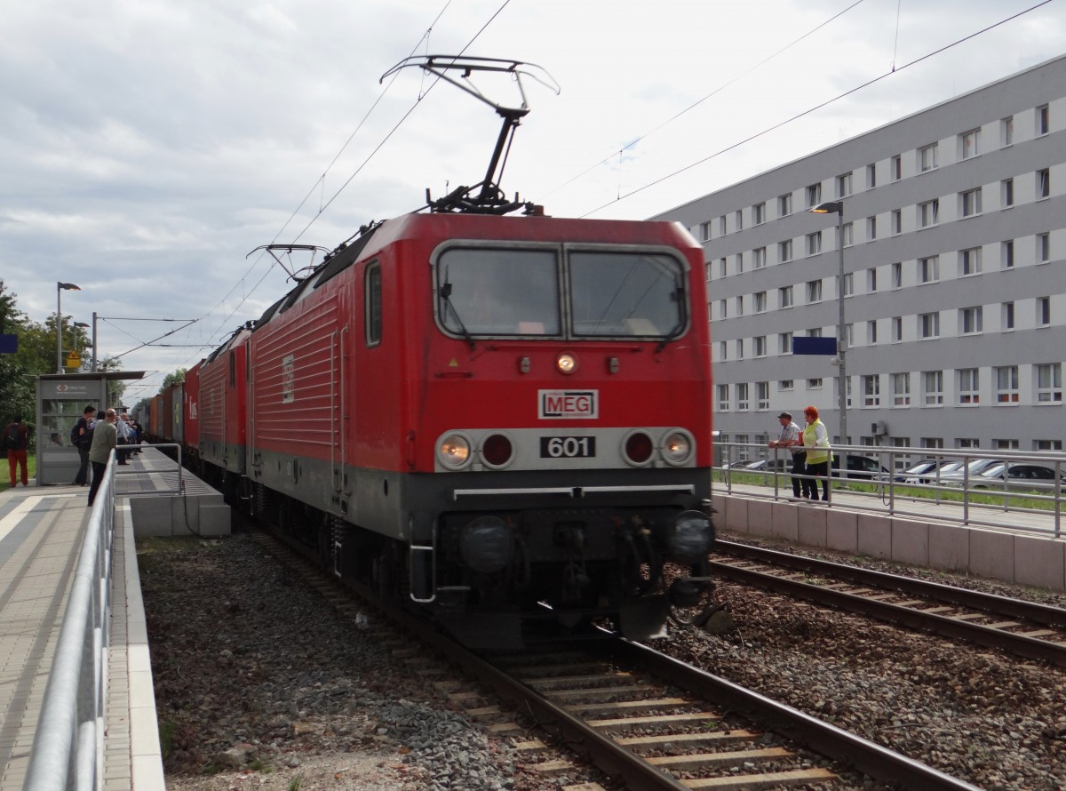 MEG 601  91 80 6143 179-0 D-MEG  und MEG 605  91 80 6143 344-0 D-MEG  zu sehen am 30.08.14 in Dessau Süd.