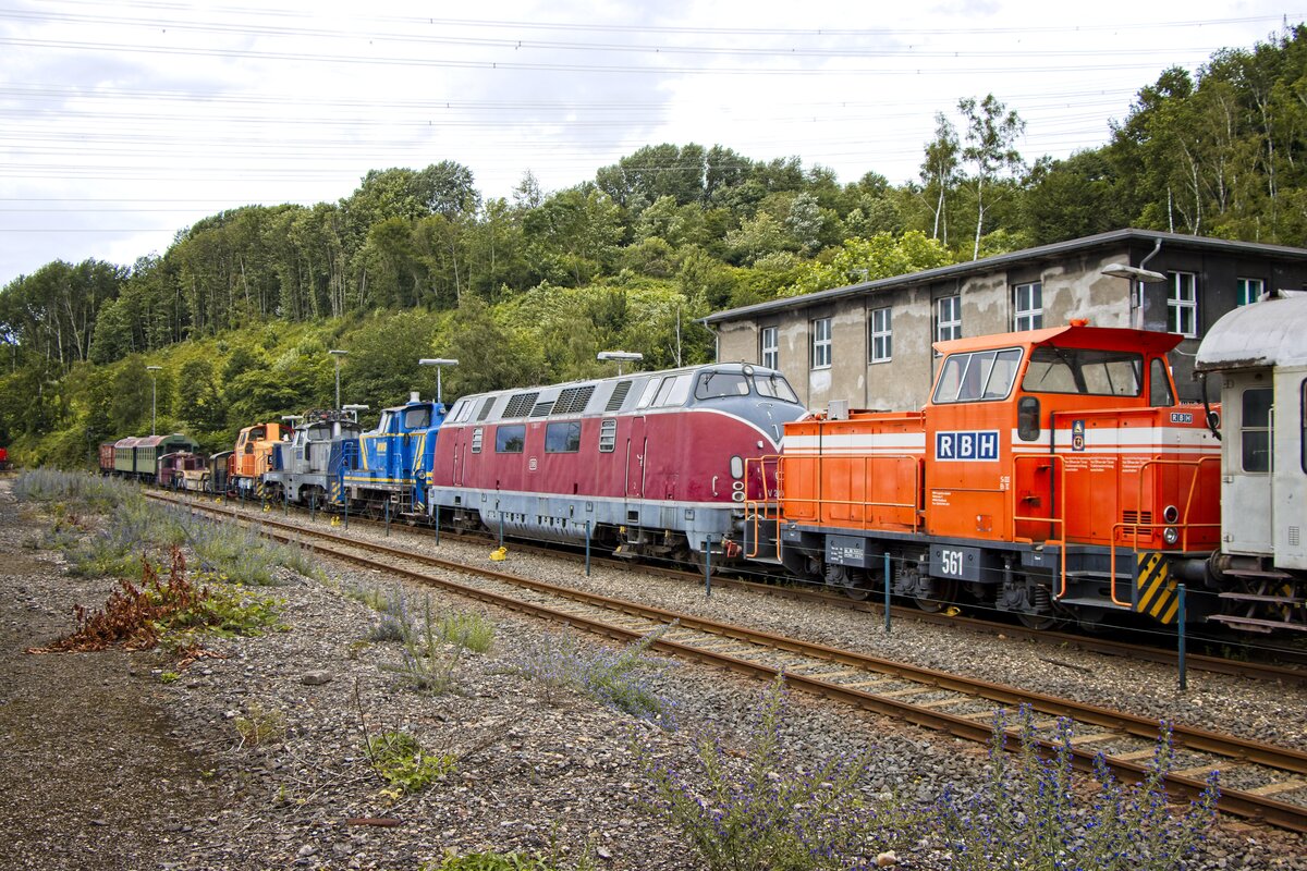 Mehrere Ex-RBH-Lokomotiven stehen gemeinsam mit einer V60, einer V200 und mehreren Köf im Eisenbahnmuseum Bochum-Dahlhausen (04.07.2021)