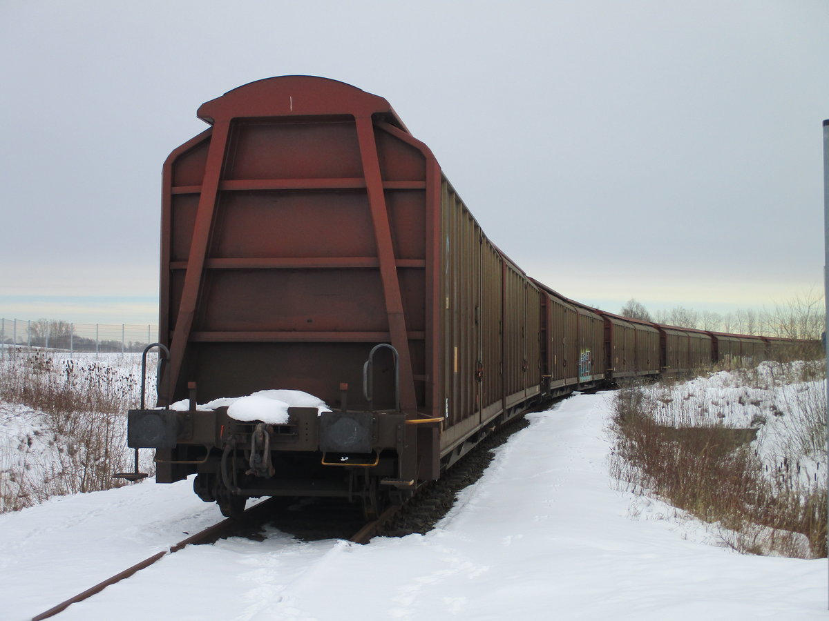 Mehrere Haimmrs standen,am 15.Februar 2021,im Fährhafen Mukran.