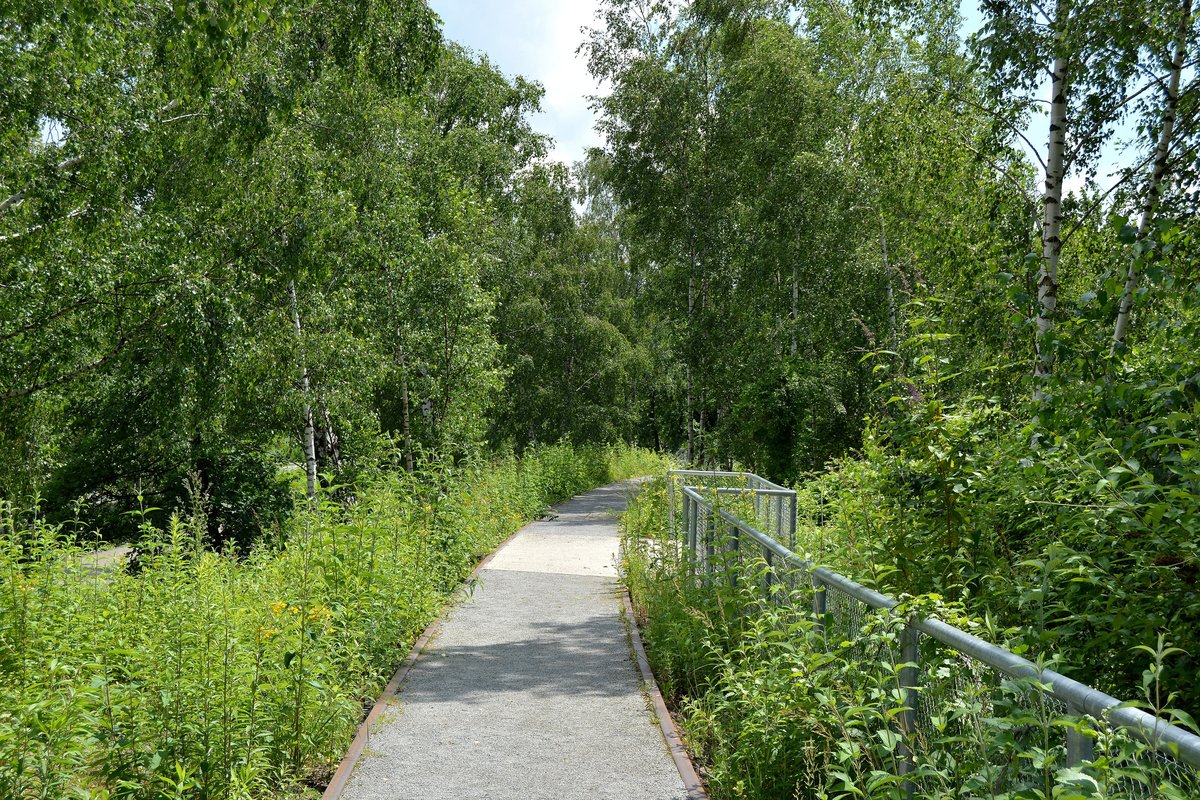 Mein 1234. Bild auf BB zeigt einen Weg auf dem Gekände der Zeche Zollverein. Hier wurden statt die Gleise rauszureißen und den Weg zu bauen einfach nur Sand und Kies zwischen die Schienen geschüttet und schon hat man ganz billig einen guten Weg.

Zeche Zollverein 26.06.2016