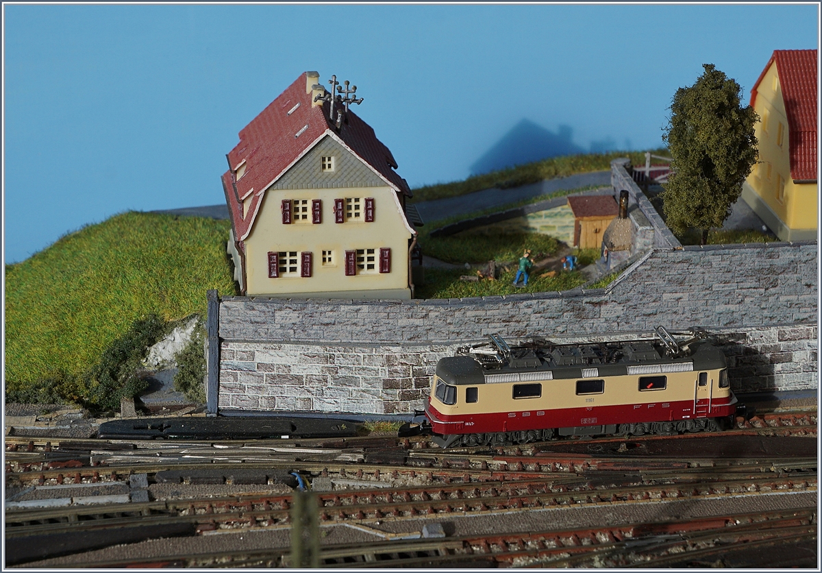 Mein erstes Bild in diesem Jahr, in diesem neuen Jahrzehnt ist eine  Zeitreise  und zeigt, was es eigentlich gar nicht gibt: Die SBB Re 4/4 II 11161 (Auslieferung 2019) auf meiner vor gut zehn Jahren 2009/2010) abgebrochenen  alten  Z-Spur Anlage. 

Des Rätsels Lösung: Ein Stück der Anlage lagerte seit dem Abbruch zur  Ausschlachtung  im Keller und diente mir wohl ein letztes Mal als Fotokulisse.

Und so hacken und verfeuern die Bewohner im Haus im Hintergrund nochmals kräftig Holz, während die SBB Re 4/4 II 11161 auf ihren nächsten Einsatz wartet.

3. Januar 2020 