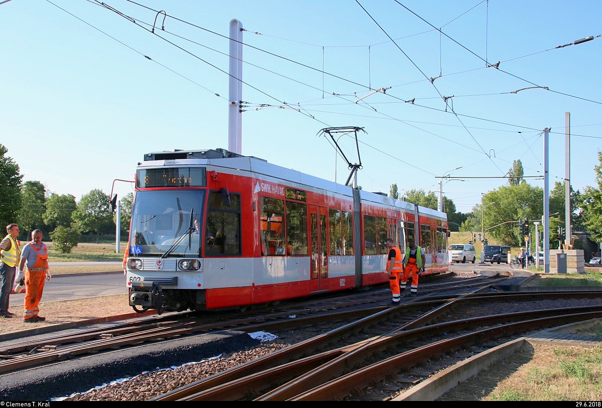 MGT6D, Wagen 602, der Halleschen Verkehrs-AG (HAVAG) als Linie 8 von Trotha erreicht ihre Endhaltestelle Rennbahnkreuz während Gleisbau- und Oberleitungsarbeiten.
Diese Linie hat aufgrund der Baumaßnahmen einen anderen Laufweg.
[29.6.2018 | 7:56 Uhr]