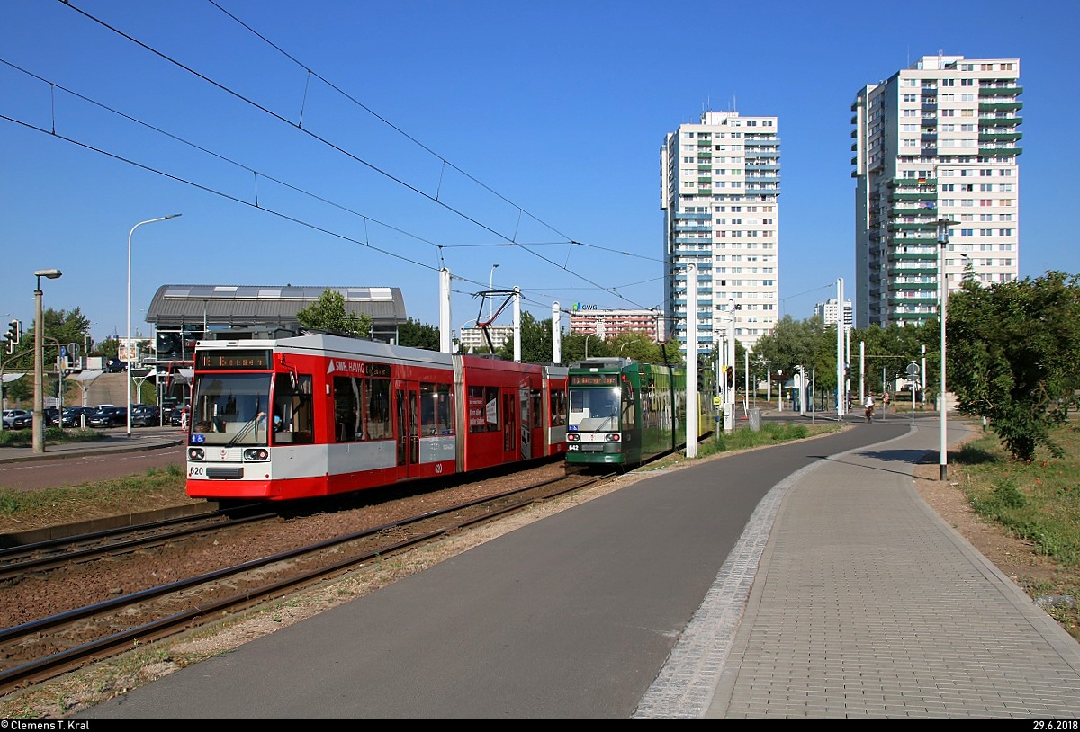MGT6D, Wagen 620, der Halleschen Verkehrs-AG (HAVAG) als Linie 16 von Göttinger Bogen nach Beesen trifft auf MGT6D, Wagen 642 mit Werbung für die Bau- und Wohnungsgenossenschaft Halle-Merseburg e.G. (BWG), als Linie 16 von Beesen nach Göttinger Bogen an der Haltestelle Rennbahnkreuz.
[29.6.2018 | 8:15 Uhr]