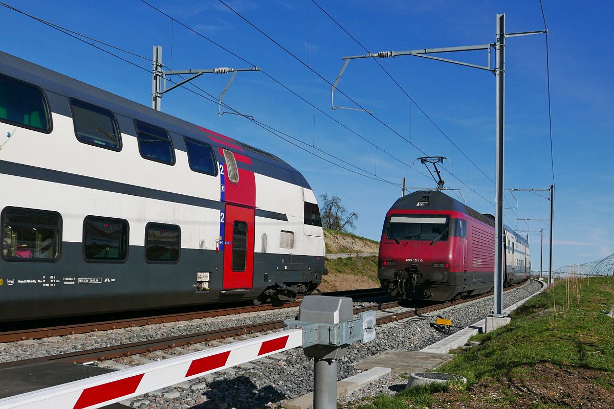 Mit der Annahme, dass sich die Loks der IR nach und von Zürich an dieser Stelle begegnen, lag der Fotograf nachweislich etwas daneben. Bei Berg (TG) schiebt Re 460 101-9 die Wagen des IR 2123, Zürich - Konstanz, den Seerücken hinauf während vom Gegenzug nach Zürich nur noch der letzte Wagen zu sehen ist (16.03.2019).