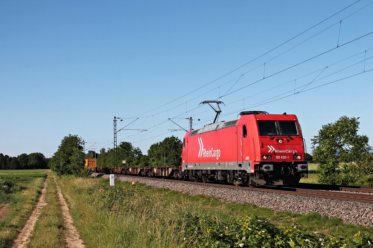 Mit dem  Bauer -Containerzug (Veendam - Basel Birsfelden Hafen) fuhr am Abend des 13.06.2019 die ATLU/RHC 2065 (185 630-1) südlich von Buggingen über die KBS 703 durchs Rheintal in Richtung Schweizer Grenze.