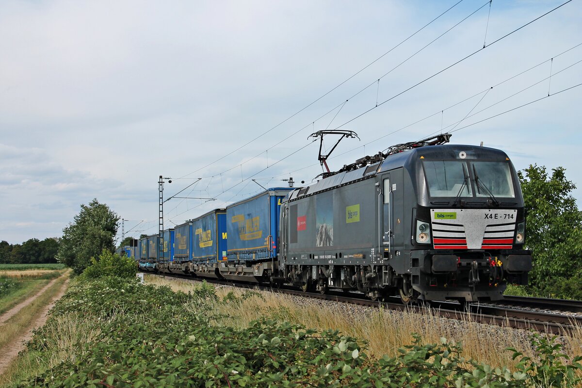 Mit dem DGS 43541 (Geleen Lutterade - Padova Interporto) fuhr am Nachmittag des 08.07.2020 die MRCE/BLSC X4 E-714 (193 714-3)  CROSSRAIL - bls cargo  südlich von Buggingen durchs Rheintal in Richtugn Schweiz.