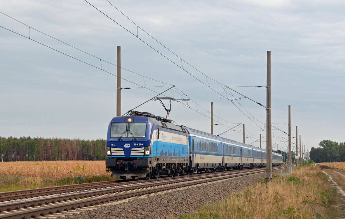 Mit dem EC 378 nach Kiel rollte 193 289 am 07.09.19 durch Marxdorf Richtung Falkenberg(E).
