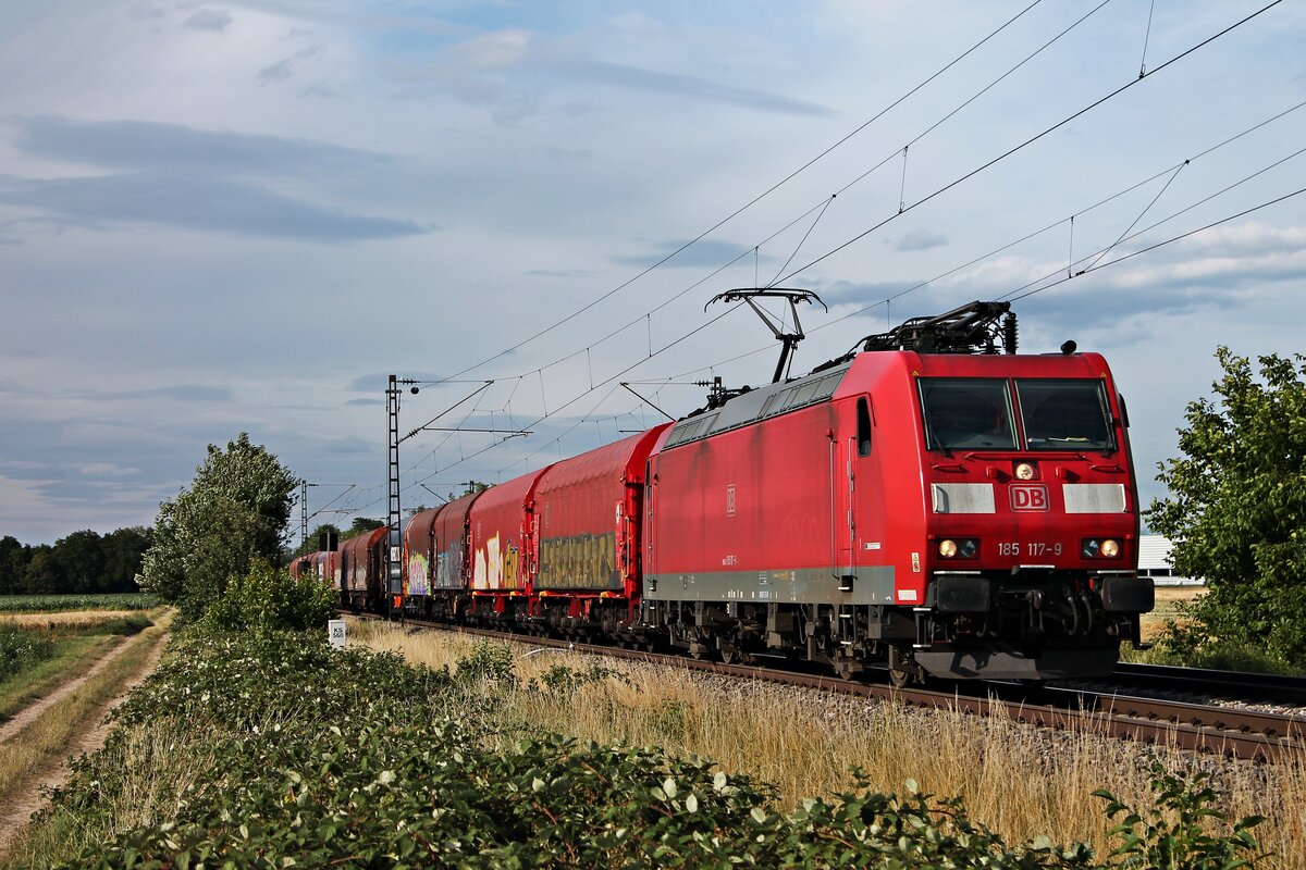 Mit dem EZ 45023 (Mannheim Rbf - Chiasso Smistamento) fuhr am Abend des 08.07.2020 die 185 117-9 südlich von Buggingen durchs Rheintal in Richtung Müllheim (Baden).