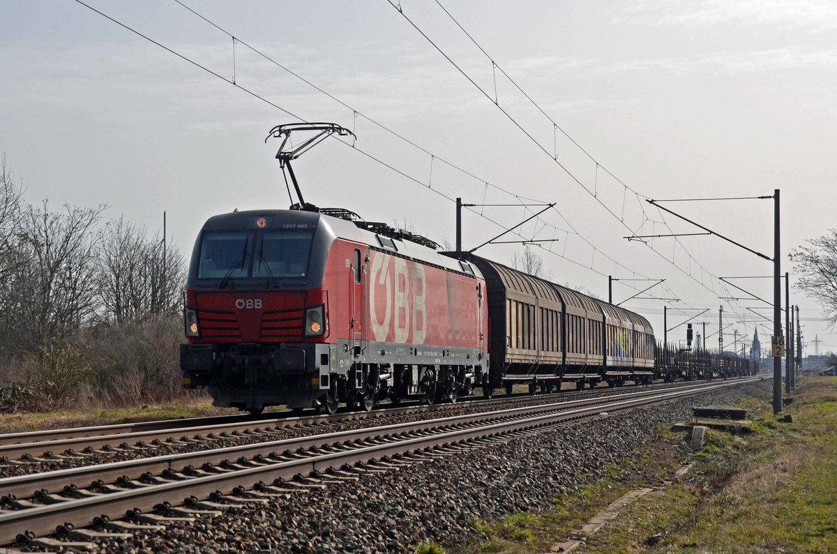 Mit dem Güterzug von Wien zum Rostocker Seehafen rollte 1293 003 am 23.02.21 durch Greppin Richtung Dessau.