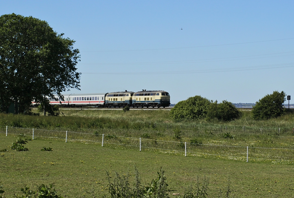 Mit dem IC 2073 von Westerland nach Dresden durchfahren die Railsystems-218 480-2 und 490-1 am 15.06.2020 die Ortschaft Morsum auf der Insel Sylt