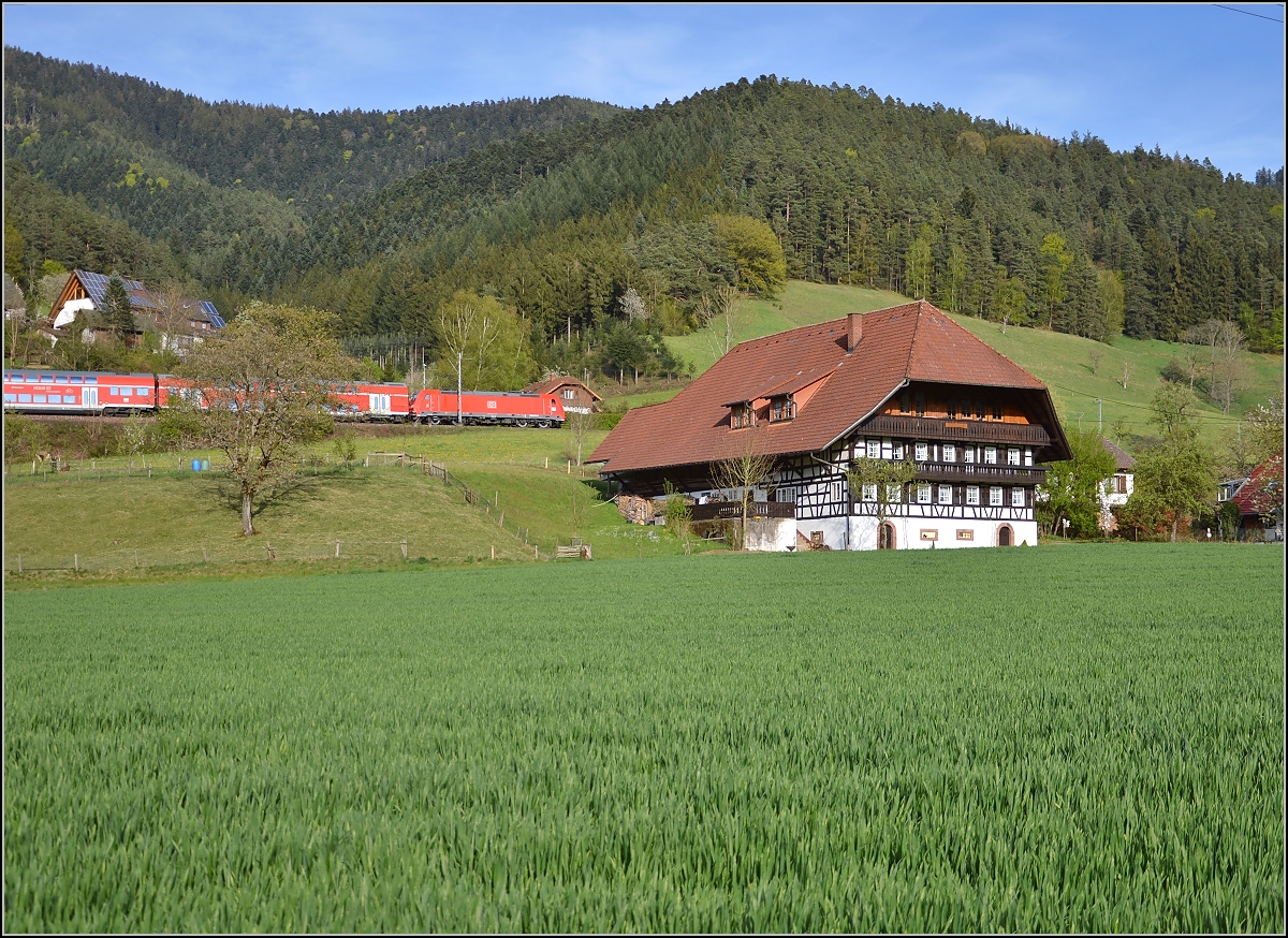 Mit dem IRE Richtung Konstanz fährt 146 234-0 an einem der typischen großen Bauernhöfe in Gutach vorbei. Zwischen Gutach und Hornberg ist am Hang entlang der steilste Streckenabschnitt. April 2015.