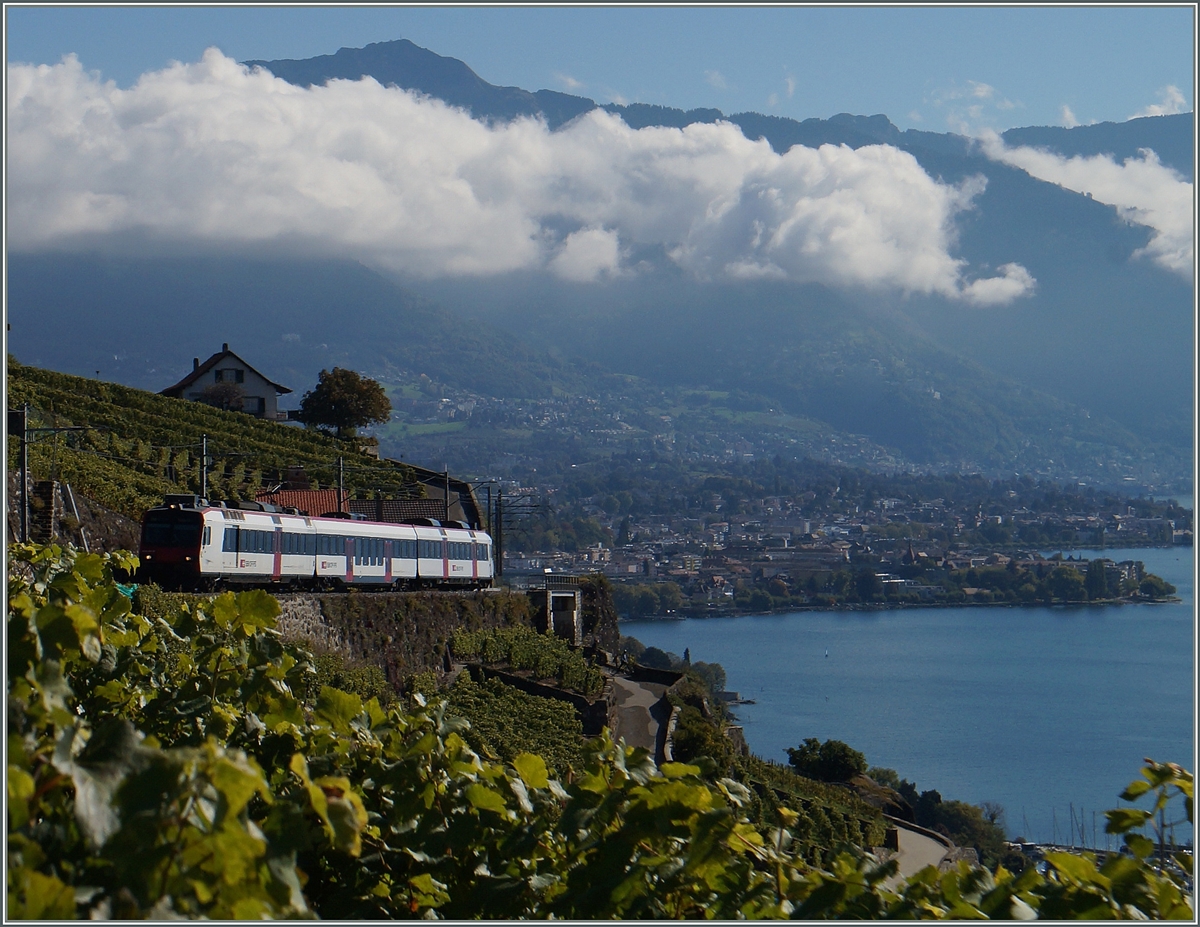 Mit dem Umbau der NPZ Züge zu Dominos verschwand auch der gelbe Train des Vignes; die Domino Triebzüge bieten seither die 1. Klasse an und sind um einen Zwischenwagen verstärk worden. Im Bild ein  Domino  auf dem Weg nach Puidoux-Chexbres zwischen Vevey und Chexbres.

4. Okt. 2015
