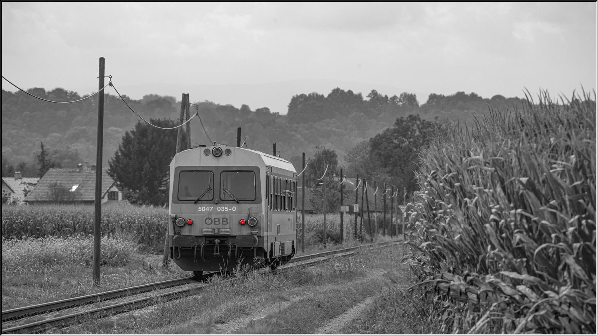Mit diesem Bild beschließe ich meine Serie der Radkersburgerbahn und freue mich au die nächste Sonderfahrt der Interessengemeinschaft  Lebensader Neue Radkersburgerbahn . 
Danke an dieser Stelle an die Organisatoren und das Zugpersonal . 

14.09.2019 in Richtung Mureck 