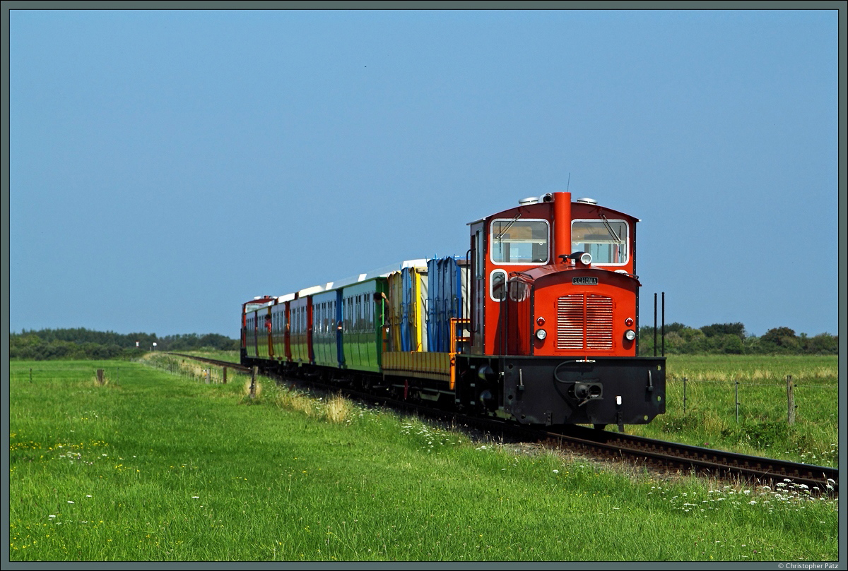 Mit einem bunten Personenzug fahren die Lokomotiven 3 und 5 der Inselbahn Langeoog am 21.08.2015 durch die Wiesen zwischen Ort und Anleger. 