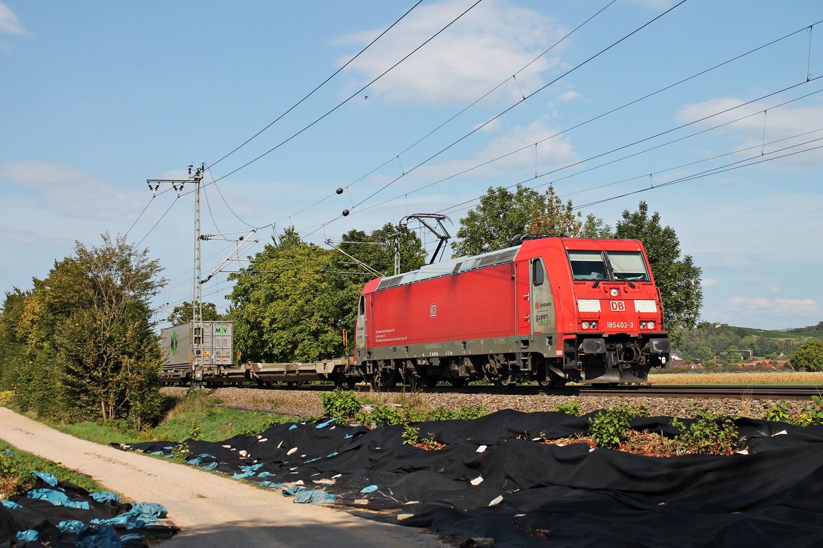 Mit einem Containerzug aus Belgien fuhr am Nachmittag des 12.09.2018 die 185 403-3, welche den Zug seit Aachen West bespannte, nördlich von Müllheim (Baden) durchs Markgräflerland in Richtung Schweiz.