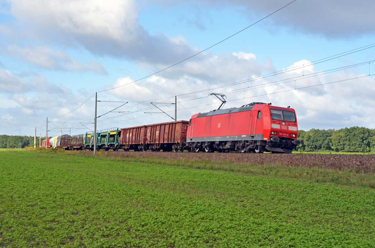 Mit einem gemischten Güterzug am Haken rollt 185 013 am 18.09.22 durch Burgkemnitz Richtung Wittenberg.