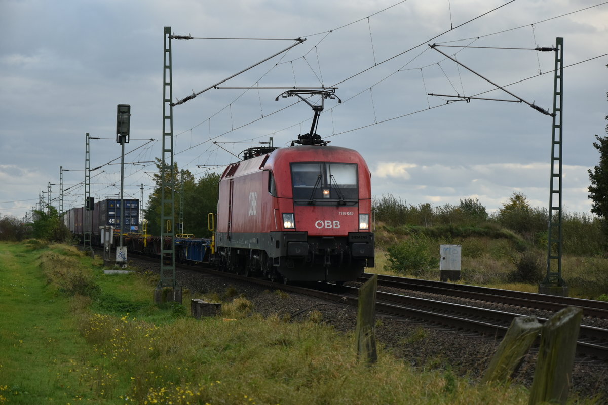 Mit einem  KLV kommt die ÖBB 1116 057 heute Nachmittag gen Neuss durch Allerheiligen gefahren.  20.10.2017