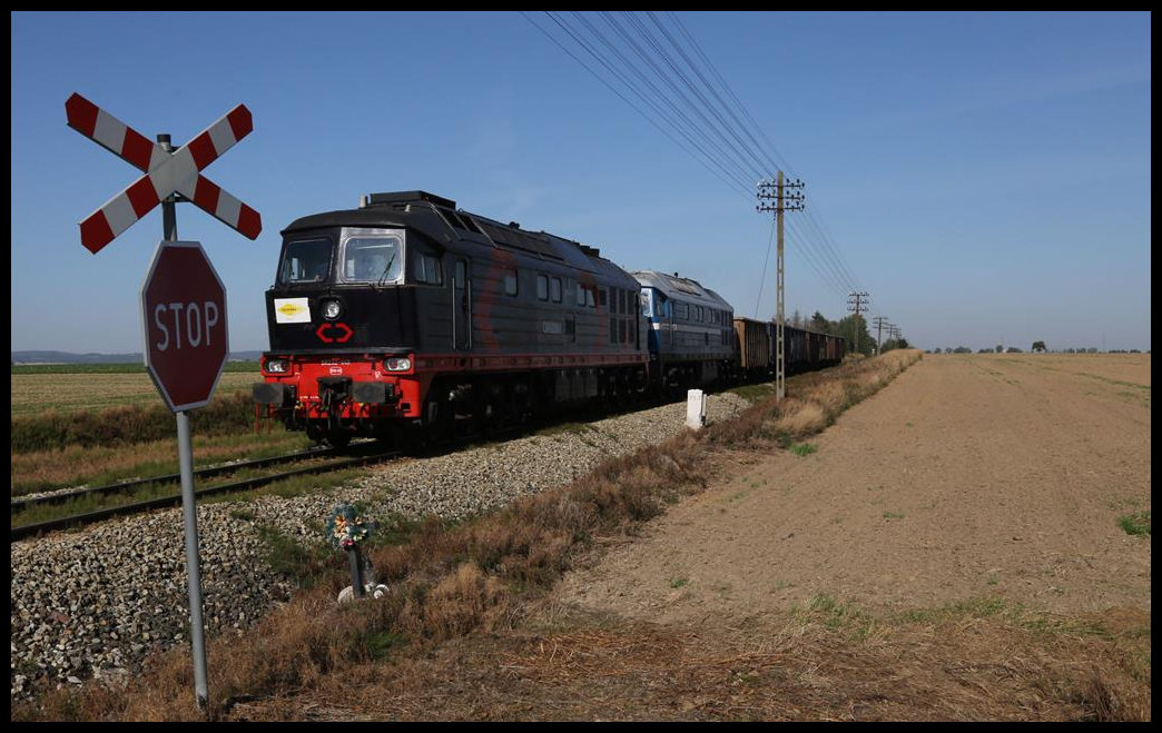 Mit einem kurzen Güterzug sind 232-448 und 232-537 am 9.9.2021 um 9.52 Uhr bei Niedaszow nach Rogocznica unterwegs.