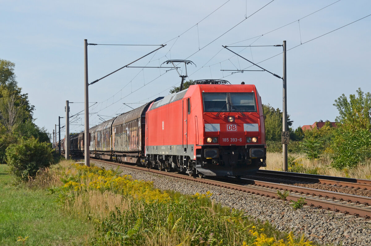 Mit einem langen Autologistikzug vom VW-Werk Braunschweig zum VW-Werk Zwickau rollt 185 393 am 04.09.22 durch Greppin Richtung Bitterfeld.